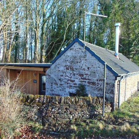 Dreamwood Cottage, Loch Lomond, Luxury Apartment. Glasgow Exteriér fotografie