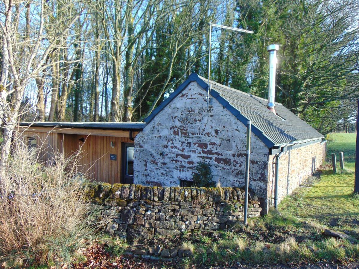 Dreamwood Cottage, Loch Lomond, Luxury Apartment. Glasgow Exteriér fotografie