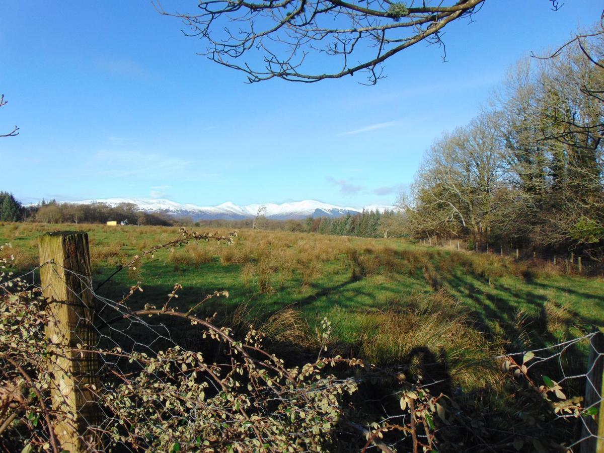 Dreamwood Cottage, Loch Lomond, Luxury Apartment. Glasgow Exteriér fotografie