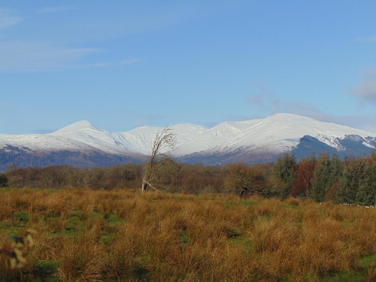 Dreamwood Cottage, Loch Lomond, Luxury Apartment. Glasgow Exteriér fotografie